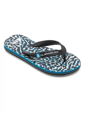 Quiksilver Boys Molokai Art II Flip Flops