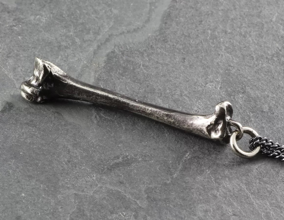 Raven Femur Bone Necklace - Silver