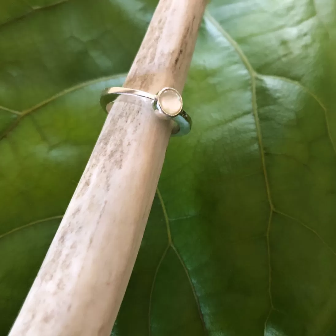 Slice ring in mother of pearl