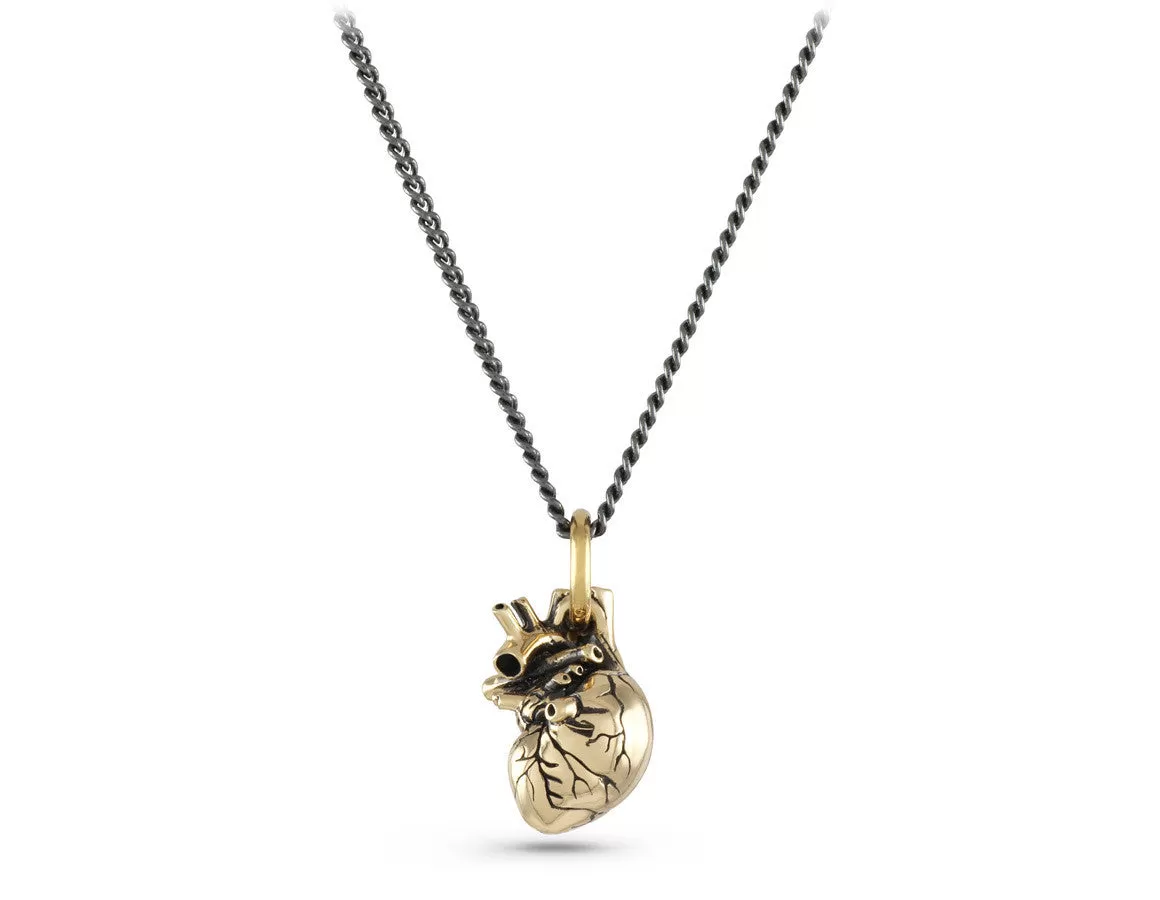 Small Anatomical Heart Necklace - Bronze